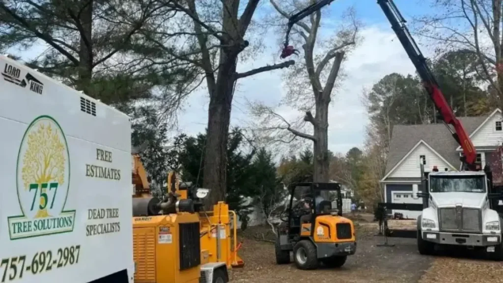 Conversion-focused tree service website illustrating connected service pages and supporting content